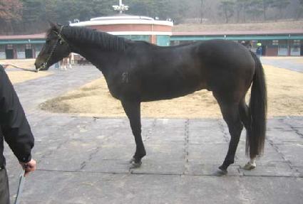 ¡�ۺ��� ����