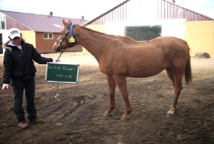 ���ƿ��� ����