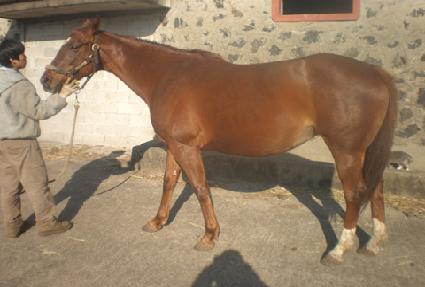 �����帮����Ƽ�� ����