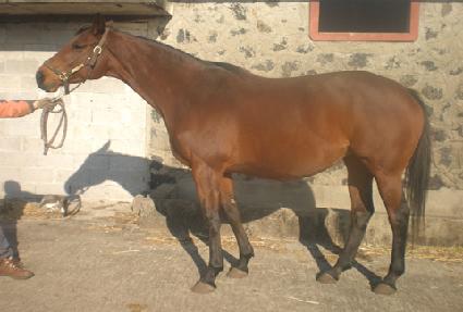 ���긮����޸� ����