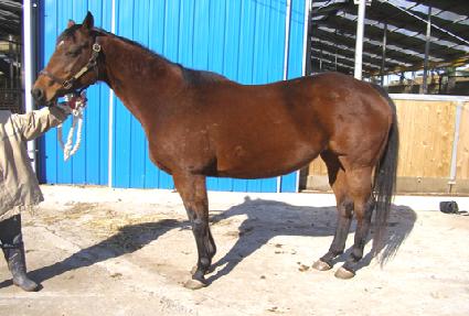 ������Ƽ ����