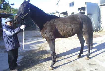 ĸ�ľŸ ����