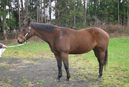 ���̶��� ����