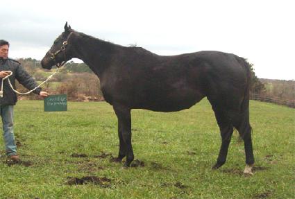 ����ũ�پ����� ����