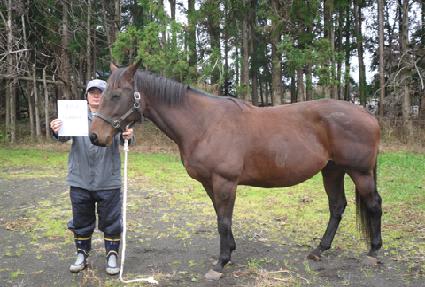 Į�� ����