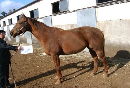 ����Ʈ����� ����