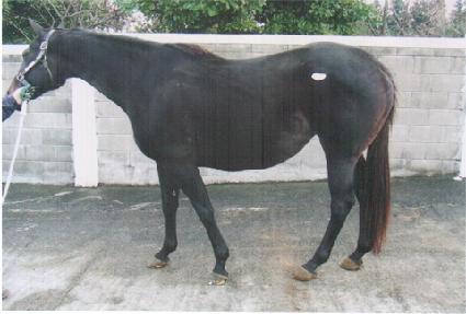 ����׸��� ����