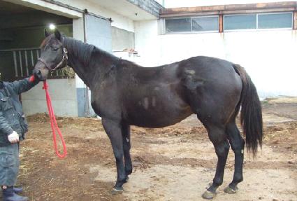 ��Ż�����ϵ� ����