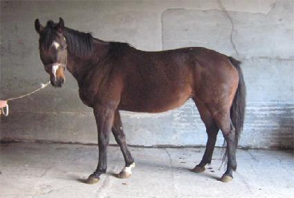 ĵ���� ����