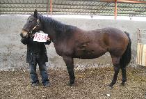 ����Ʈų�� (ST. KILDA) ����