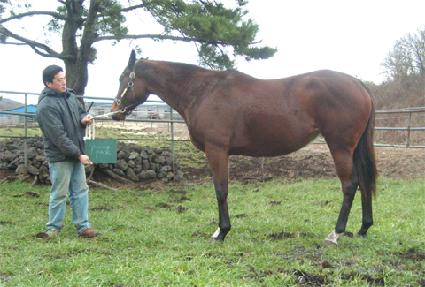 �Ŀ��� ����