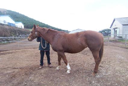 ��ũ���� ����