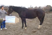 ����ص�äƮ (STOP AND CHAT) ����