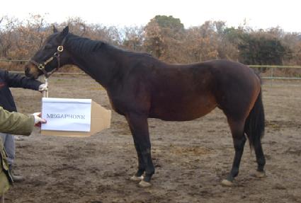 �ް����� ����