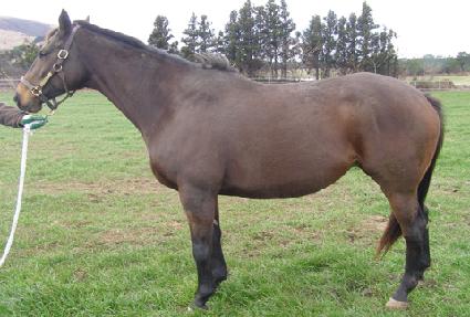 ���˥� ����