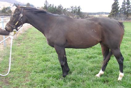 �ͷ��Ĺ ����