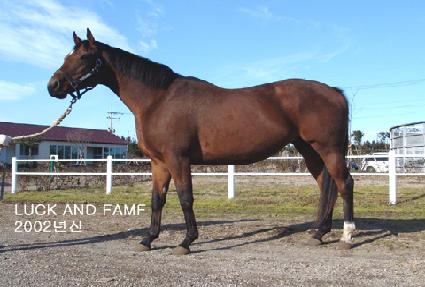 ���ص����� ����