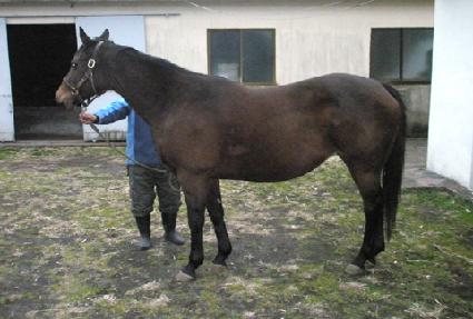 �мŴϽ�Ÿ ����