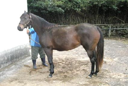 ġġ���� ����