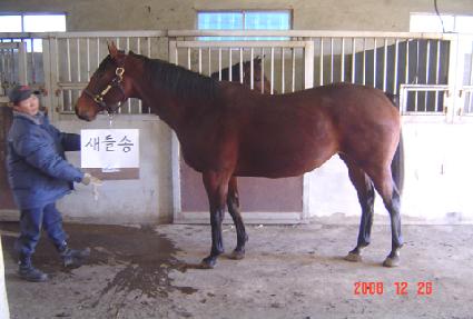 ����� ����