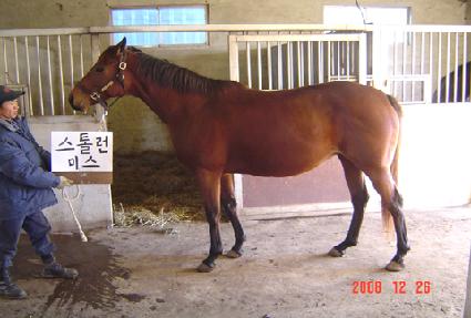 ���縥�̽� ����