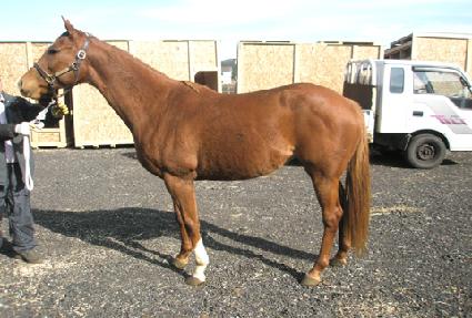 �Ϸ�ú��䰡 ����