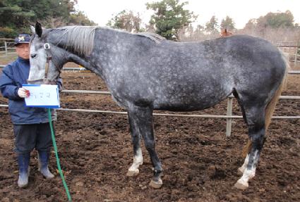 ���־� ����