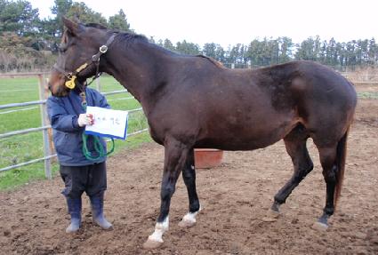 ���̿�ĳ�� ����