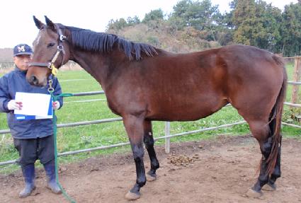 �ø��̿����͵��� ����