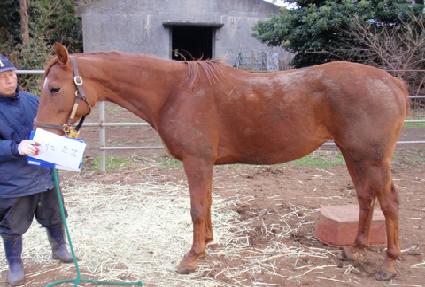 �Ҹ����ָ� ����