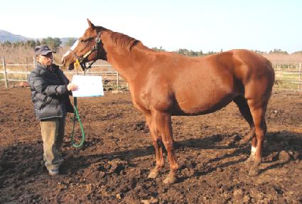 �븮������Ʈ ����