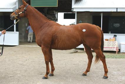 ���Ǵ����� ����