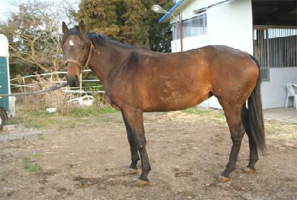 ��Ʈ������ ����