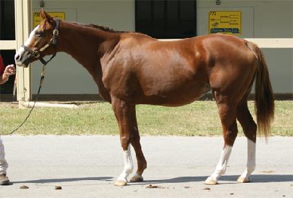 Ŭ������ ����