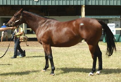 ��Ű���Ʈ�޾� ����