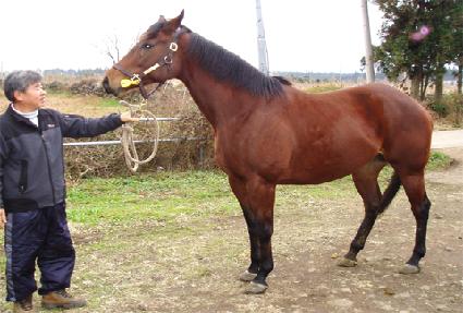 �ֽ���������Ʈ ����