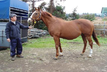 �극�峪���� ����