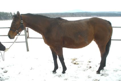 �󼼸��� ����