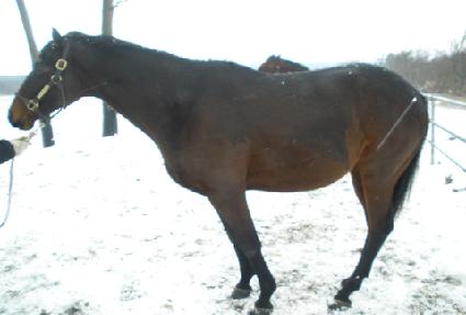 �̽�Ʈ���� ����