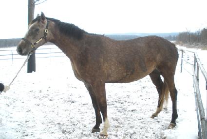 �ξط� ����