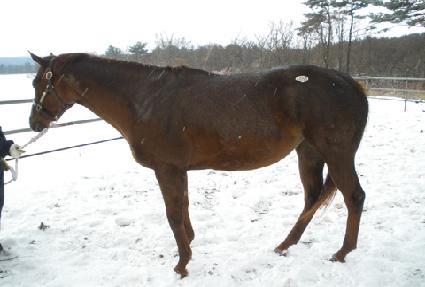 ����ö��̾� ����