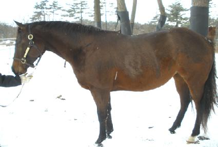 ���긶�̿��ϵ�Ĺ ����