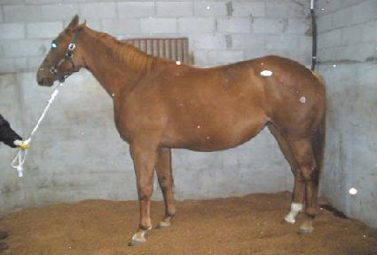 ������÷��̽��� ����