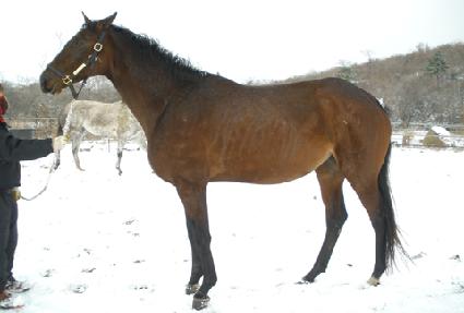 ��������������Ʈ ����