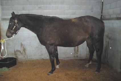 ��������Ʈ����ũ ����