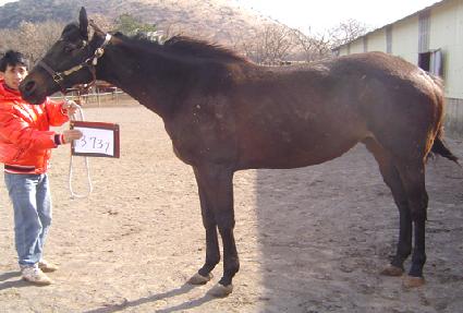 ���̺��� ����