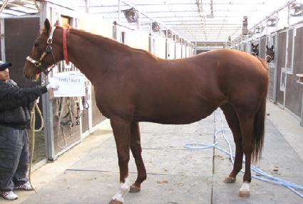 �ε���Ʈ ����