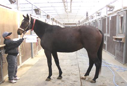 ��Ʈ���� ����