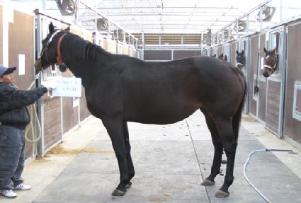 �����Ƕ����÷��� ����