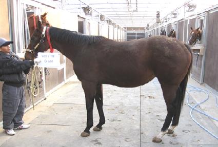 �Ѹ��׷��̽� ����